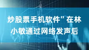 炒股票手机软件”在林小敏通过网络发声后